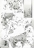  635x900 81,423 Bytes