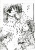  636x900 80,667 Bytes