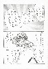  634x900 81,419 Bytes